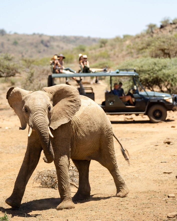 GAME DRIVES featured image