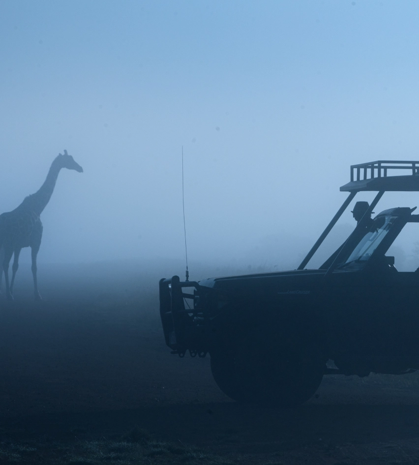 GAME DRIVES gallery 3