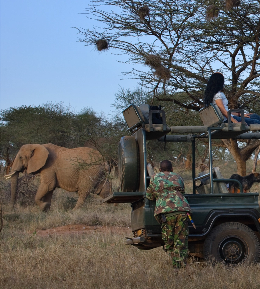 GAME DRIVES gallery image 2
