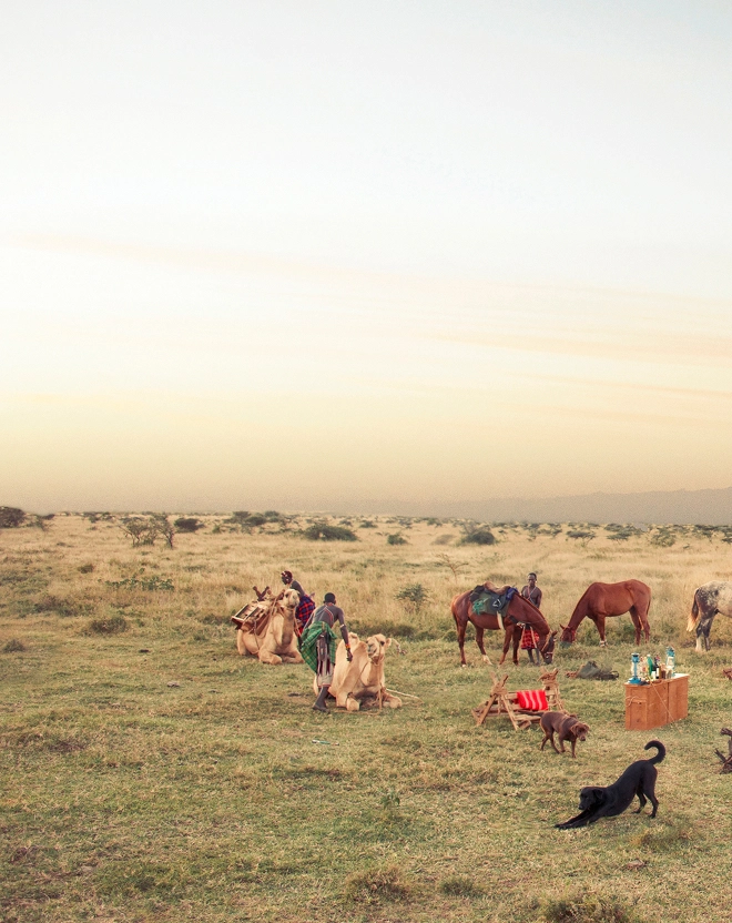 Nomad-Horse-Camp-img