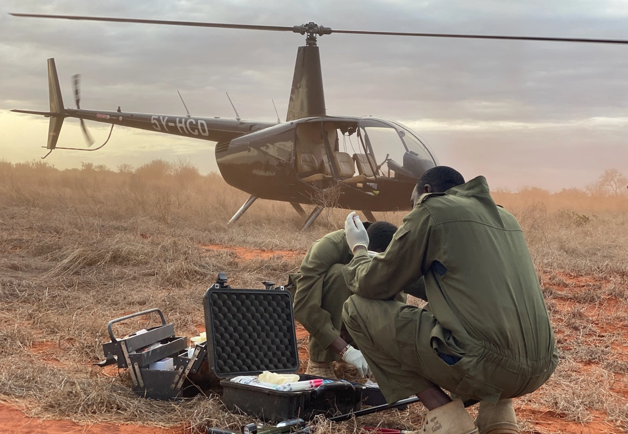 Supporting Conservation with Flight featured image