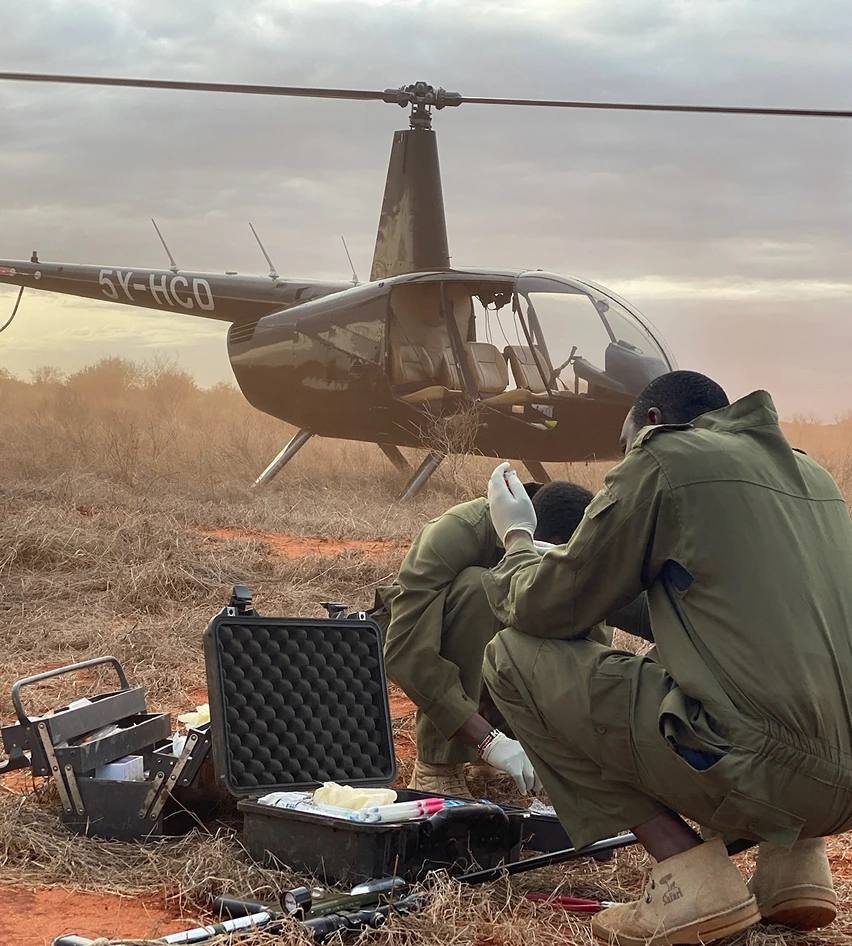 Supporting Conservation with Flight gallery image