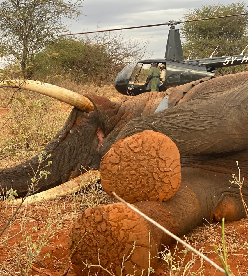 Supporting Conservation with Flight gallery image 2