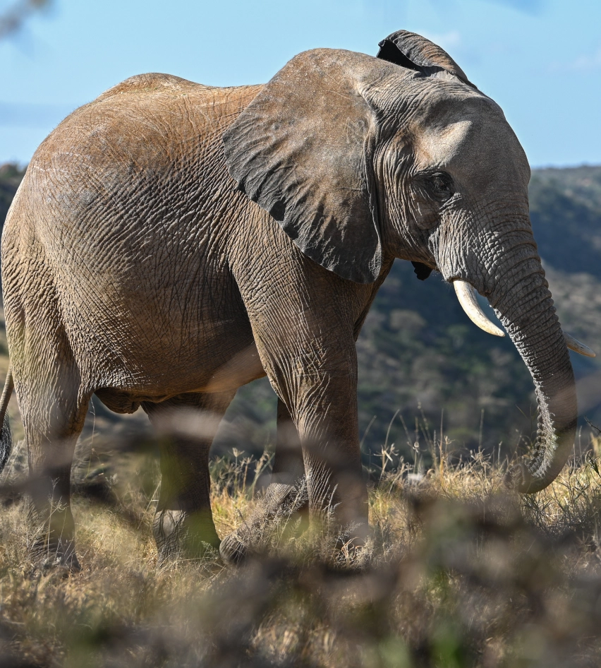 Supporting Conservation with Flight gallery image 3