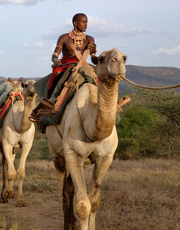 camel safaris