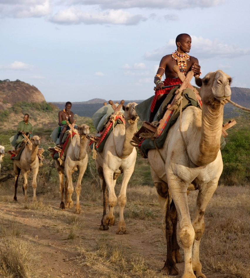 camel treks gallery image 2