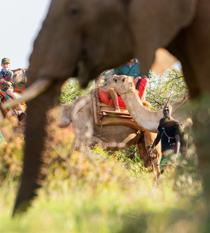 camel treks gallery image 3