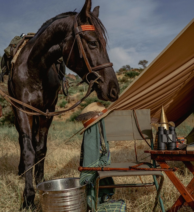 horse-image